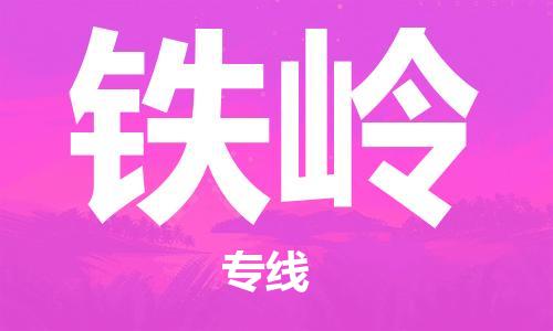 石家庄到铁岭物流专线-石家庄至铁岭货运-物流专线送货上门 石家庄到铁岭物流专线-石家庄至铁岭货运-物流专线送货上门