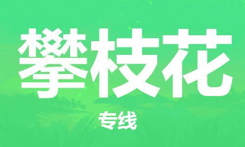 石家庄到攀枝花物流专线-石家庄至攀枝花货运-装饰材料运输专线